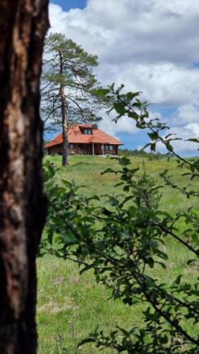 Skroviste, Zlatibor-Vodice